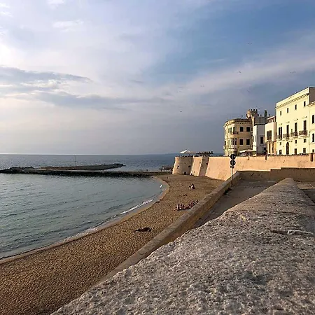 Guest house Palazzo Flora Gallipoli